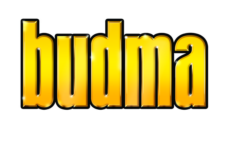 Targi Budma 2011 W Poznaniu